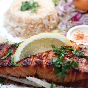 Salmon